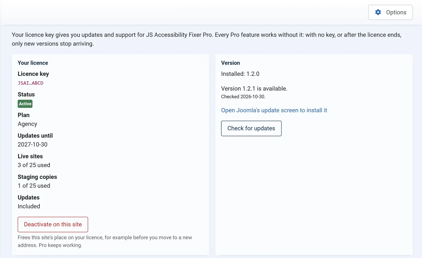The JS Accessibility Fixer Licence screen with an example licence: status, plan, installed version and the button to check for updates