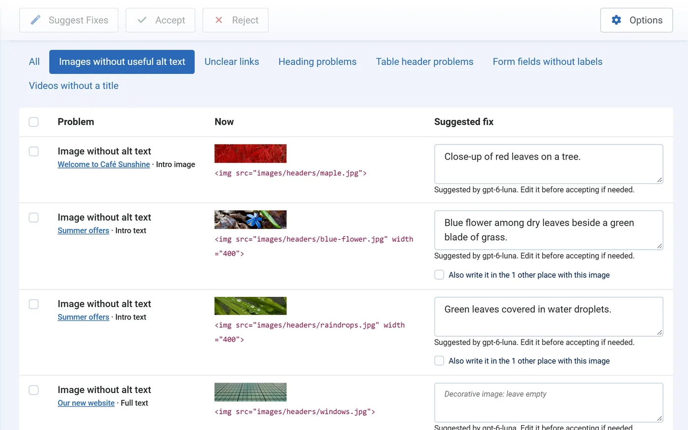 Fix Queue with AI suggestions for images without alt text, each ready to edit, accept or reject